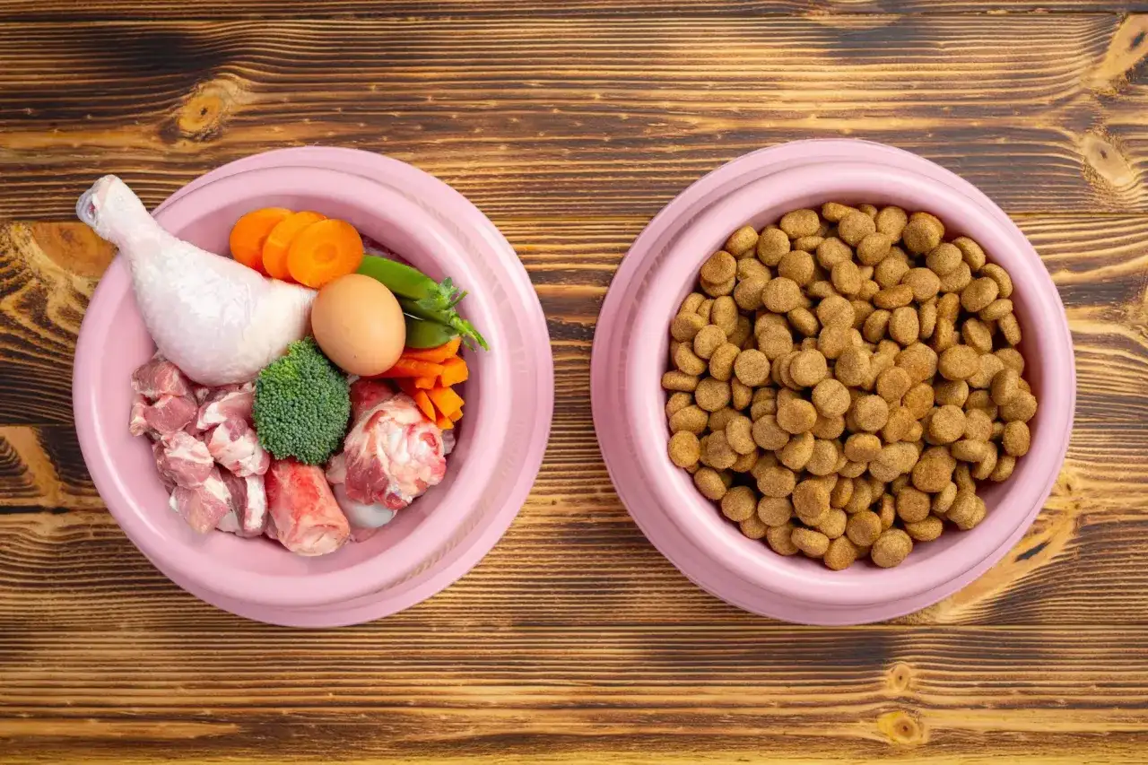 Comida natural para perros - ¿Realmente merece la pena?